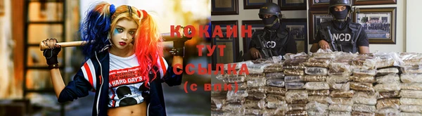 каннабис Магас