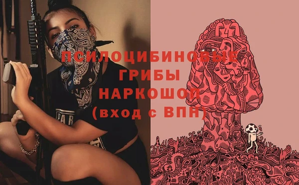 герыч Майский
