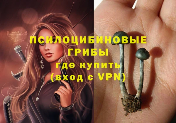 герыч Майский